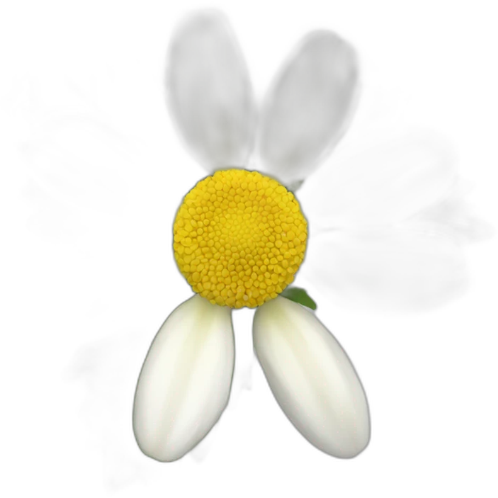 Eldelweiss-flower emoji