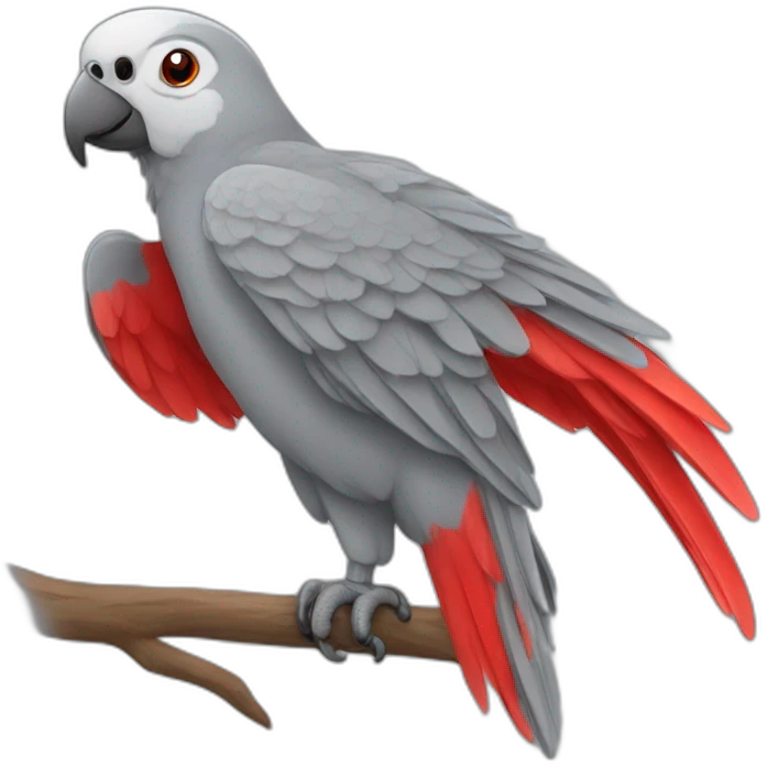 Gray parrot red tail emoji