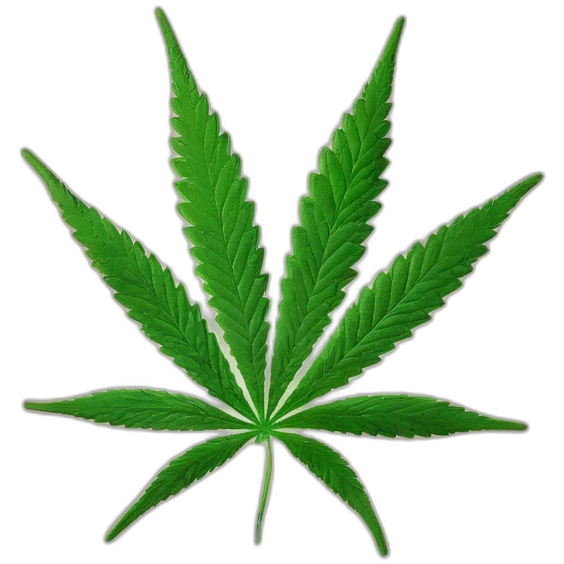 cannabis emoji