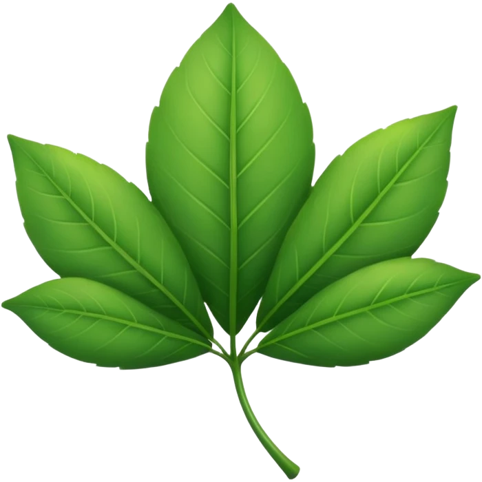 🌱 2. Growth Leaf — “Особистий ріст”

Символ: проста гілочка або листочок, що росте
Значення: розвиток, поступ, стабільність
Стиль: зелений акцент, м’які округлі лінії emoji