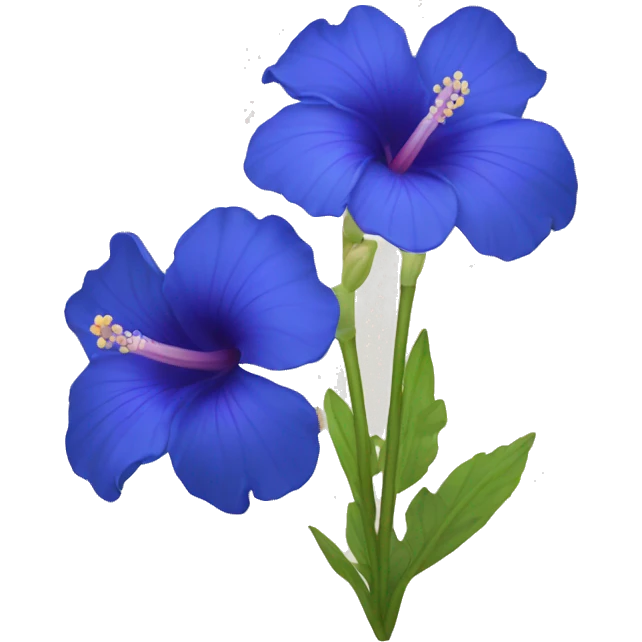 Blue ibiscus flower  emoji