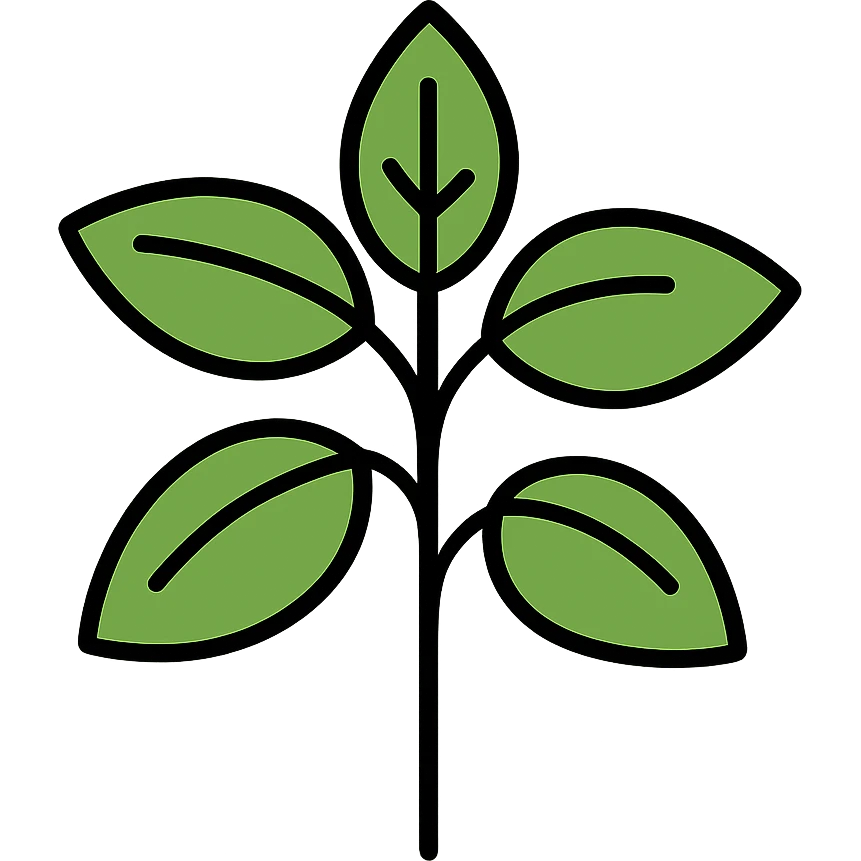 Fresh green basil herb with leaves and stems, botanical illustration emoji