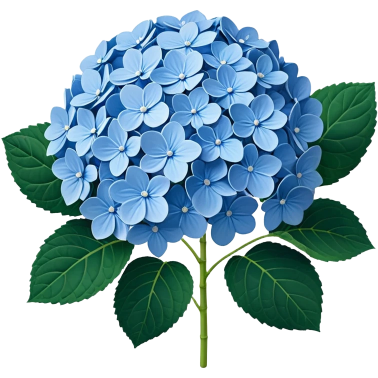 3D Realistic Still life detailed, Hydrangea macrophylla emoji