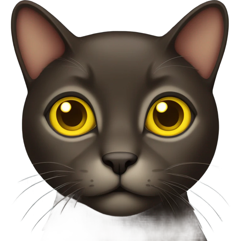 Dark brown cat with yellow eyes  emoji