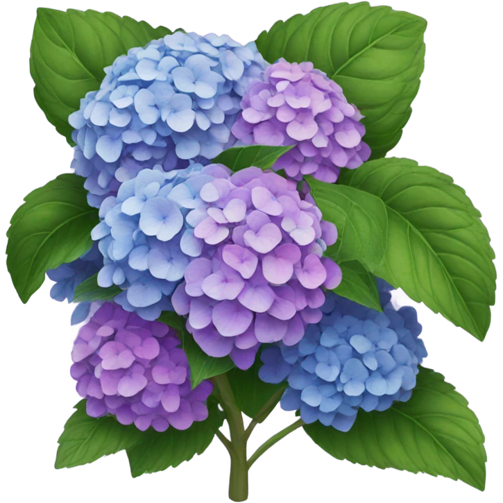 Hydrangea bush emoji