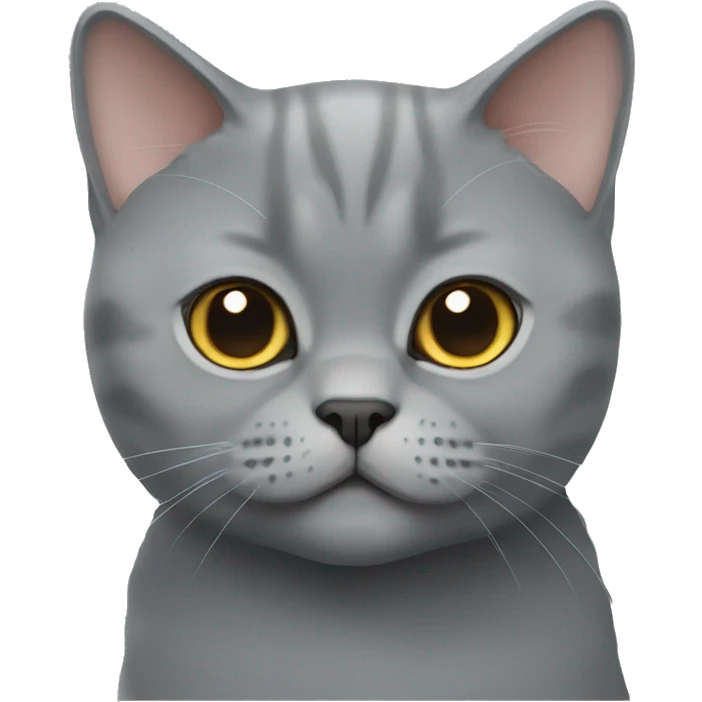 British shorthair cat emoji