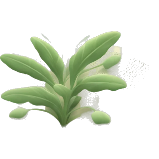 Open Light Sage green holy Bible with a light coloured gardens coming from the sides of the Bible  emoji