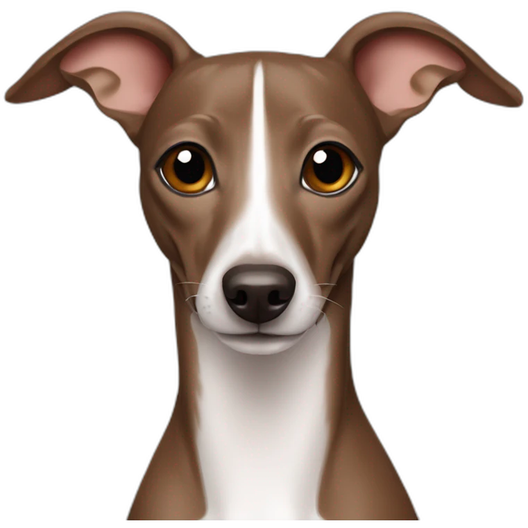 Brown Italian greyhound happy emoji