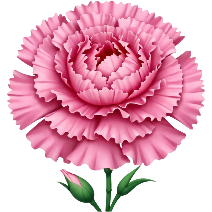 Pink carnation emolis emoji