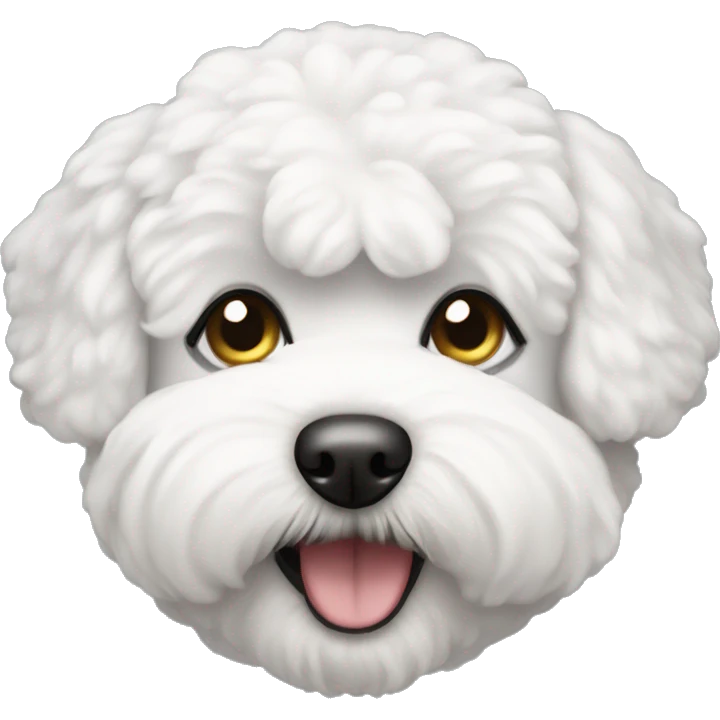 Bichon frise face emoji