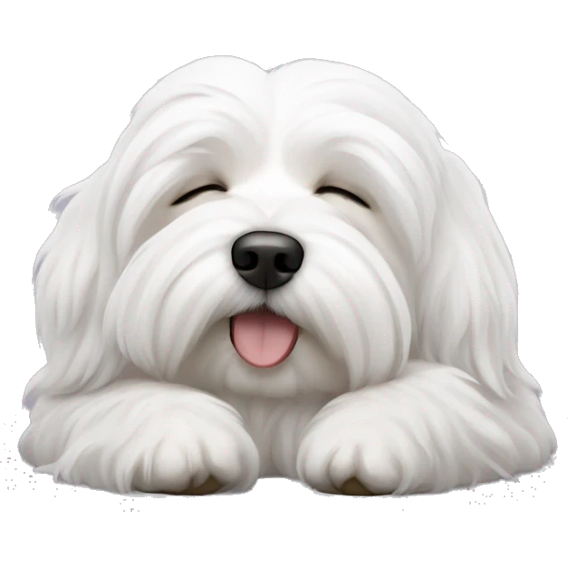 Coton de tulear dog sleeping emoji