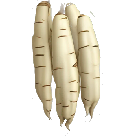 cassava with long tuberous edible roots and soft brittle stems; used especially to make cassiri (an intoxicating drink) and tapioca emoji