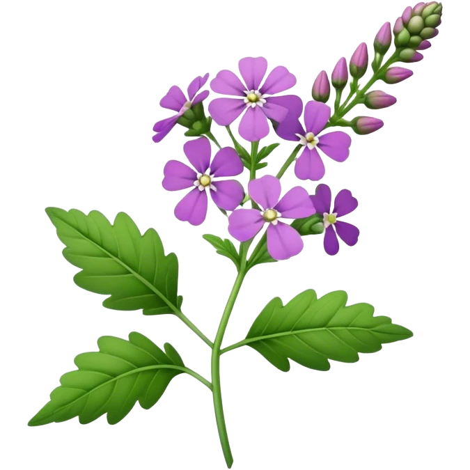 Verbena flower, leaf,bud, stalk emoji