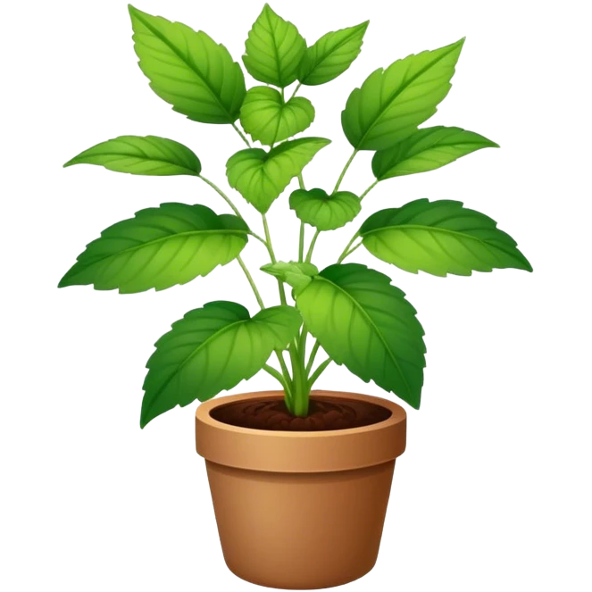 Perilla Frutescens pot plant emoji