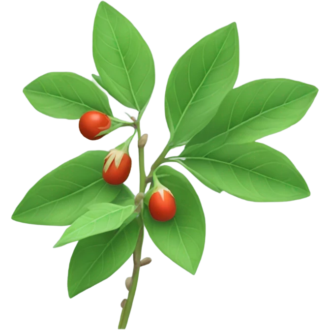 Ashwagandha emoji
