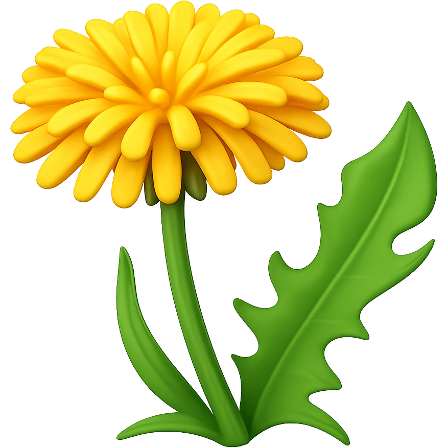 Create a 3D illustration of a dandelion in the style of iOS Apple emoji, featuring a voluminous yellow flower and a green leaf, on a transparent square background. The style should mimic the Apple emoji look with a 3D effect and vibrant colors. emoji