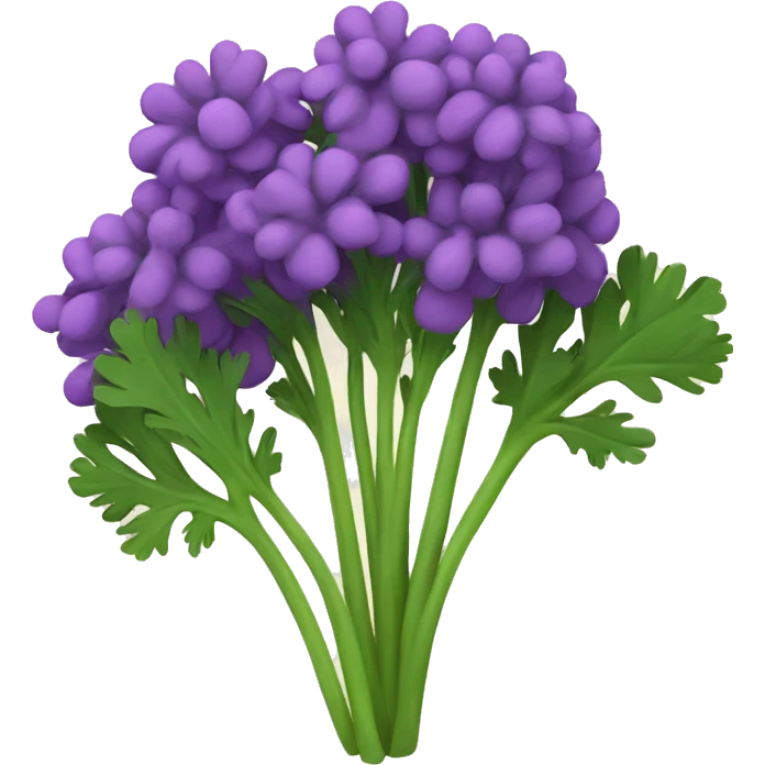 purple parsley emoji