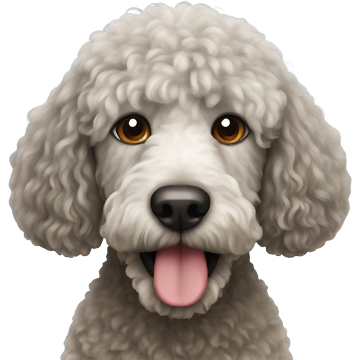 Spanish water dog emoji