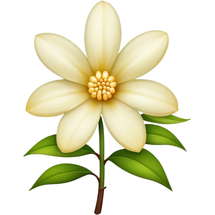 Vanilla flower  emoji