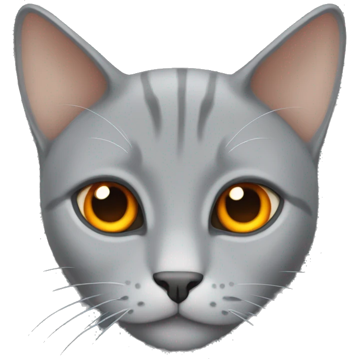 Gray cat with orange eyes  emoji