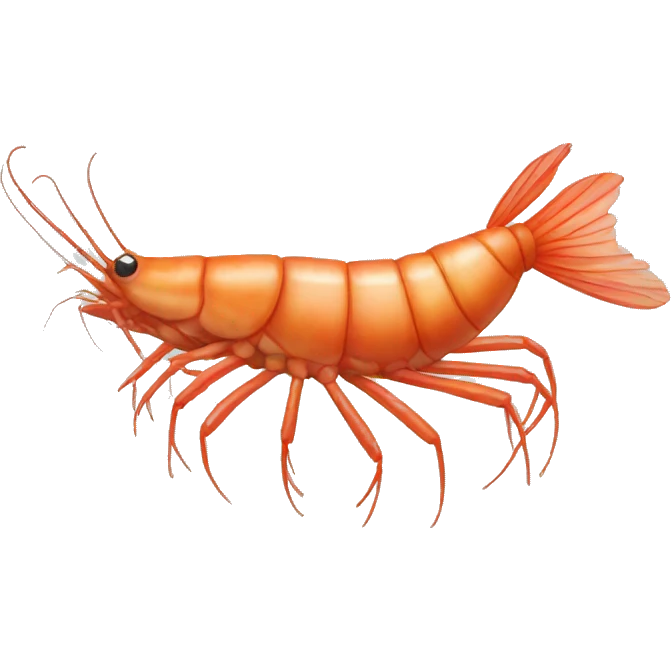 Shrimp  emoji
