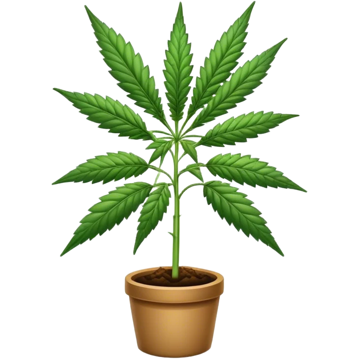 Cannabis  emoji