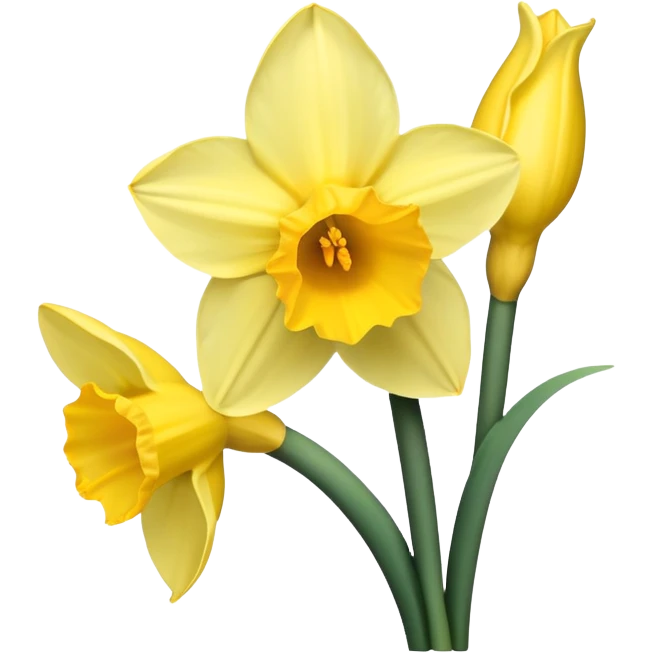 Daffodils flower  emoji