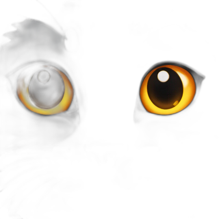 whole gray cat with orange eyes rolex watch emoji