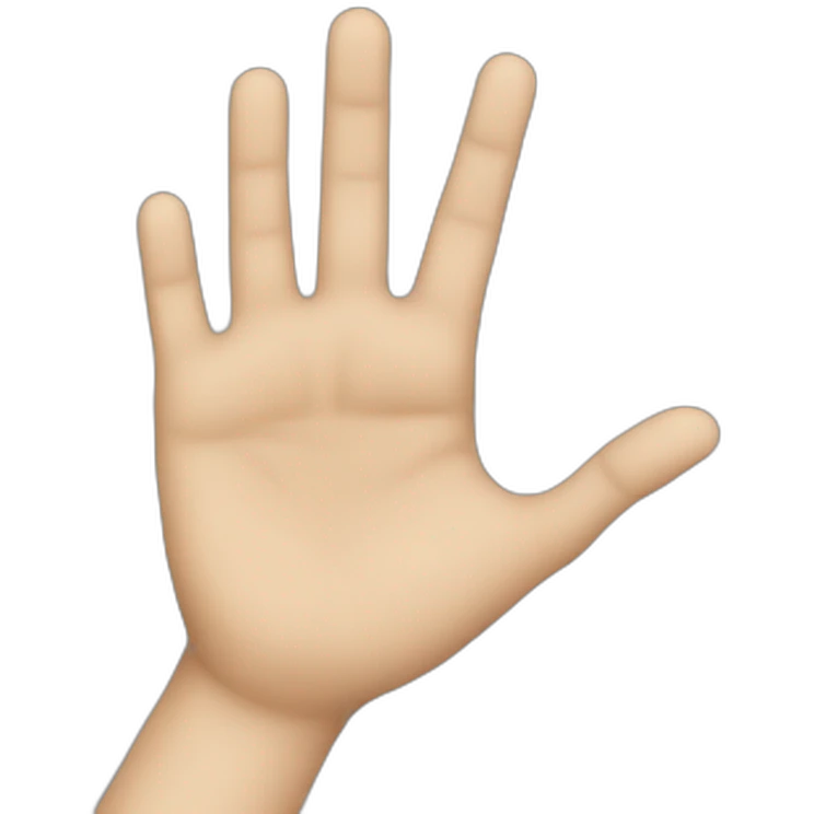 a Hand check  emoji
