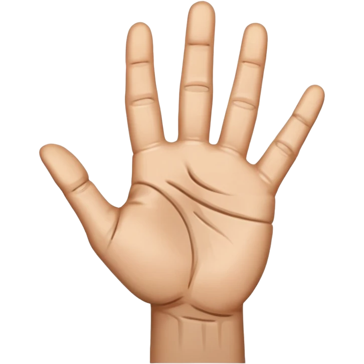 une main qui dit stop emoji