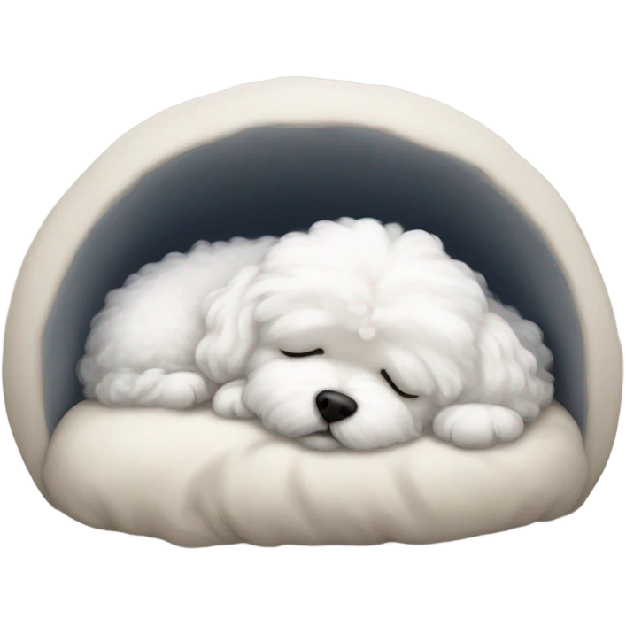 Bichon maltes sleep  emoji