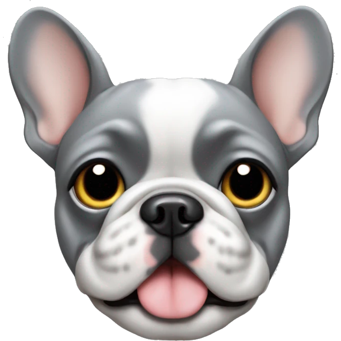 Cute grey French bulldog  emoji