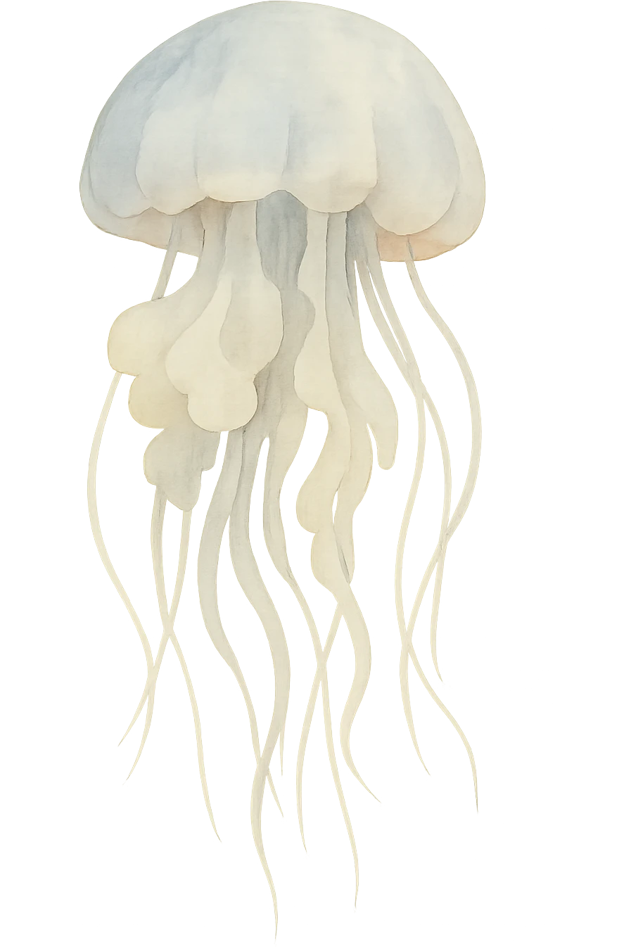A detailed illustration of a jellyfish emoji