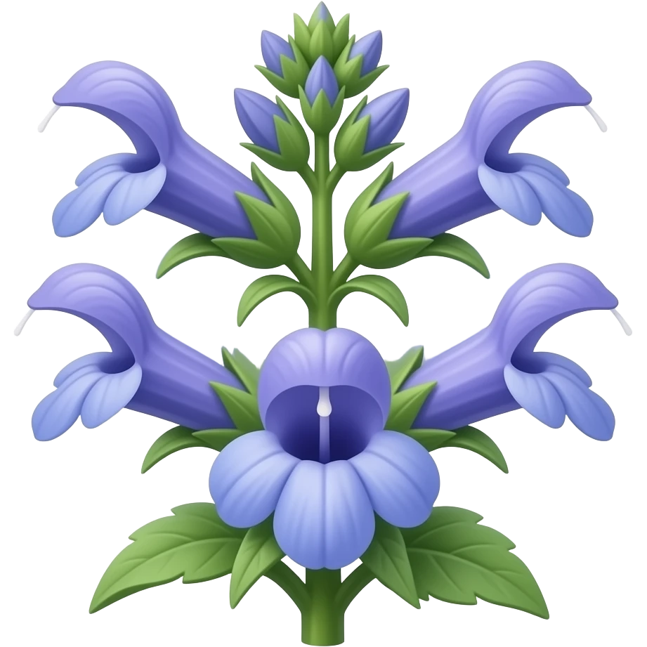 Orthosiphon plant with it's characteristic flower emoji