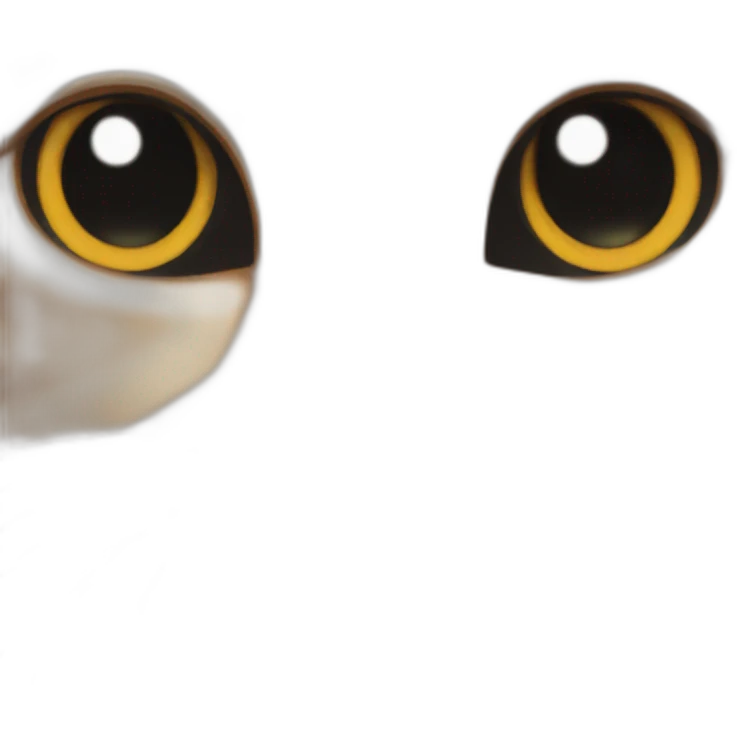 cat with eyes closed close up emoji