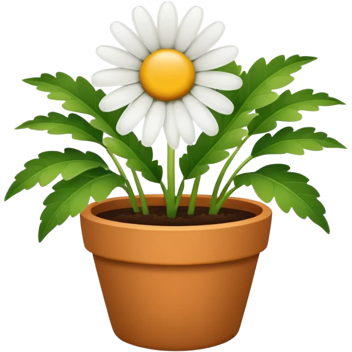 single flower daisy flower pot emoji