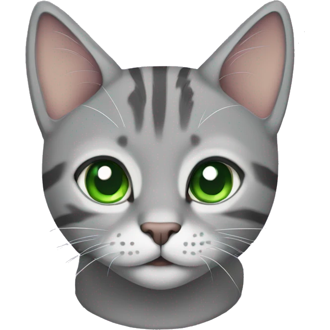 grey tabby with green eyes and a purple collar emoji