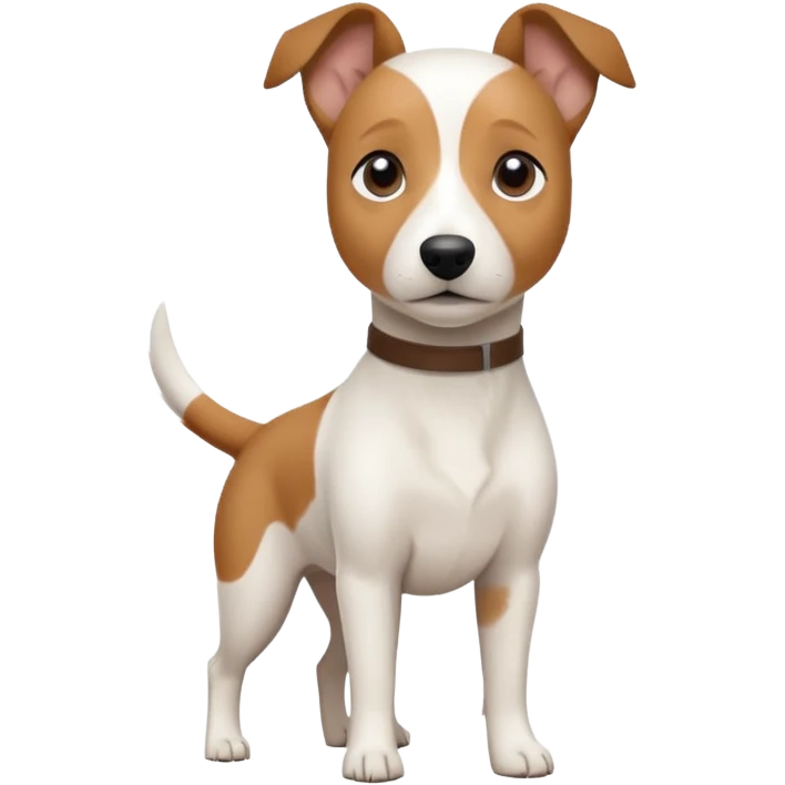 a fully white jack russell the size of a kelpie with floppy ears and a half white face emoji