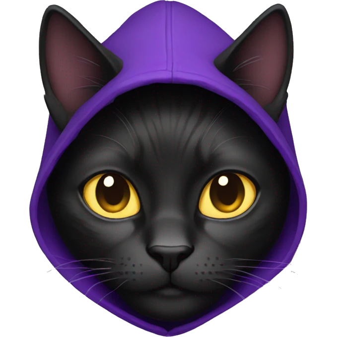 Black cat with a purple hoodie  emoji