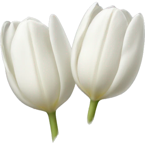 White tulips  emoji