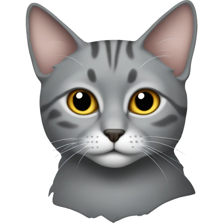 The grey cat of the Schotladn fold emoji