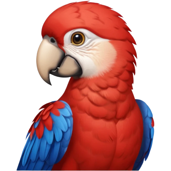 red parrot with shirt emoji
