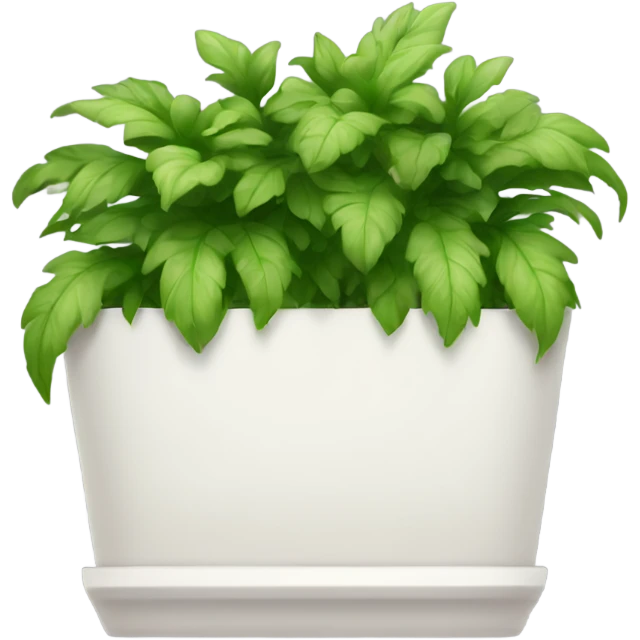 Very Long white rectangular flower pot with green plants only emoji