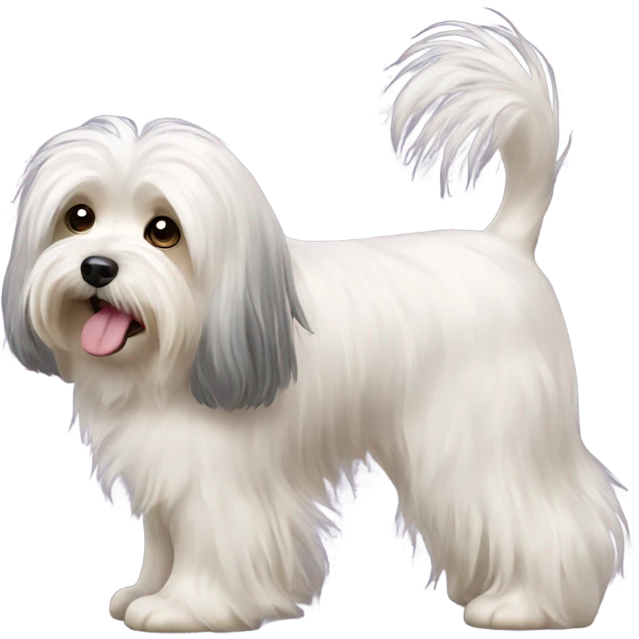 havanese dog walk long hair emoji