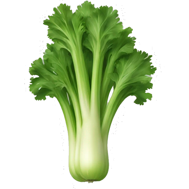 The vegetable celery  emoji