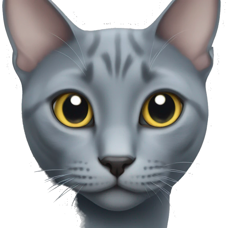 russian blue cat emoji