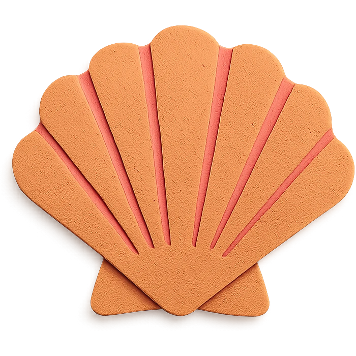 scallop shell, textured paper details, gentle shadows emoji