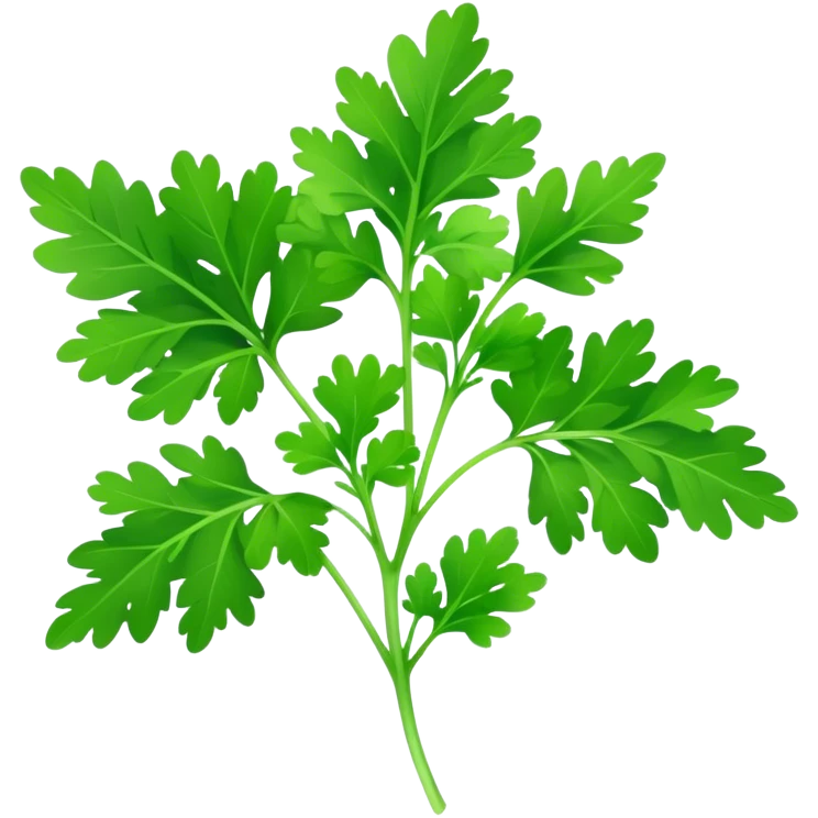Cinematic Realistic Parsley Emoji, Fresh and vibrant, with bright green, frilly leaves that seem to shimmer with vitality. The plant exudes a sense of healthy growth and aromatic zest, inviting both beauty and flavor into any dish. Soft glowing outline, capturing the essence of freshness, health, and culinary delight in a sprig of parsley! emoji