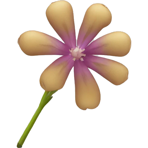 drumstick flower emoji