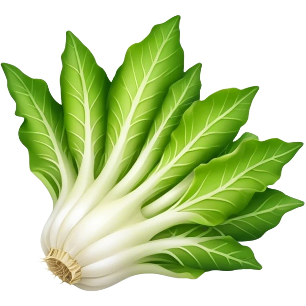 Endive emoji